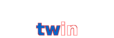 twin